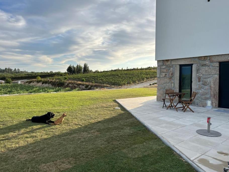 Quinta Do Carregal Villa Mangualde Exterior photo